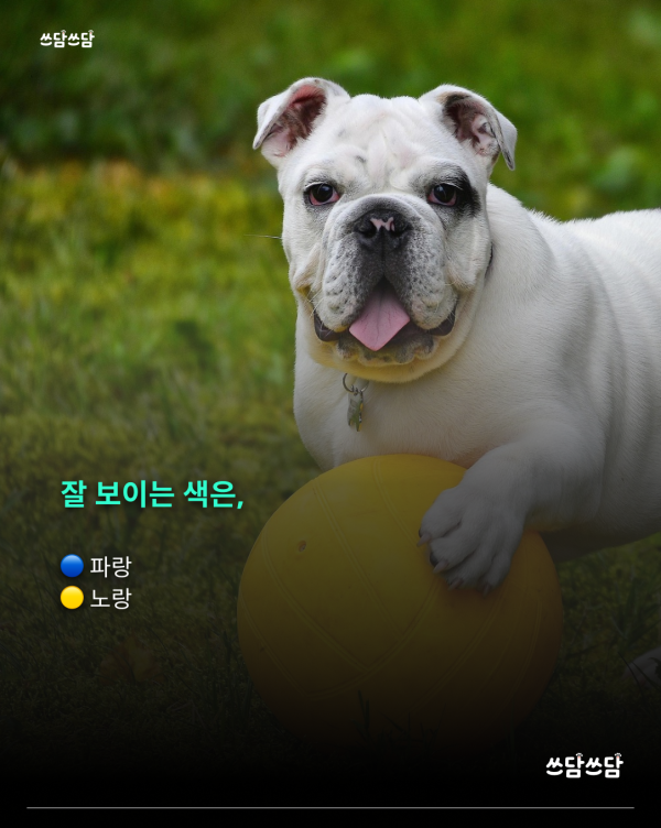 KakaoTalk_20260805_160930533_02.png