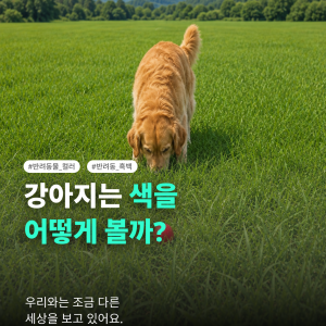 KakaoTalk_20260805_160930533.png