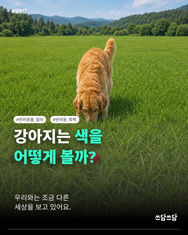 KakaoTalk_20260805_160930533.png
