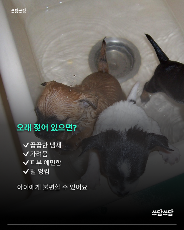 KakaoTalk_20260805_160816428_03.png