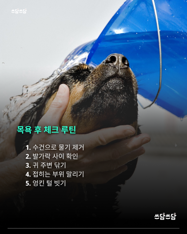 KakaoTalk_20260805_160816428_05.png