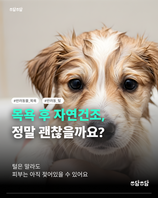 KakaoTalk_20260805_160816428.png
