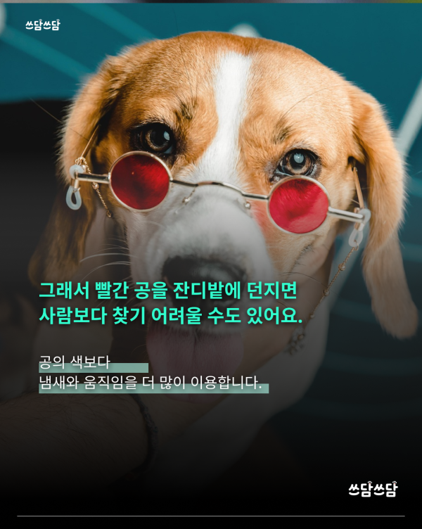 KakaoTalk_20260805_160930533_04.png