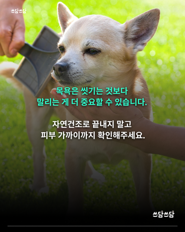 KakaoTalk_20260805_160816428_06.png