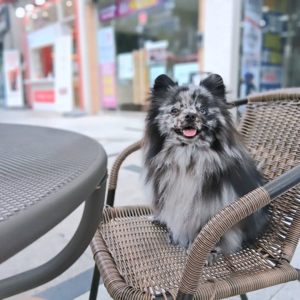 ab3e382eb836f6ff294ccf4ea9ff93c1_1787821943_6077.jpg