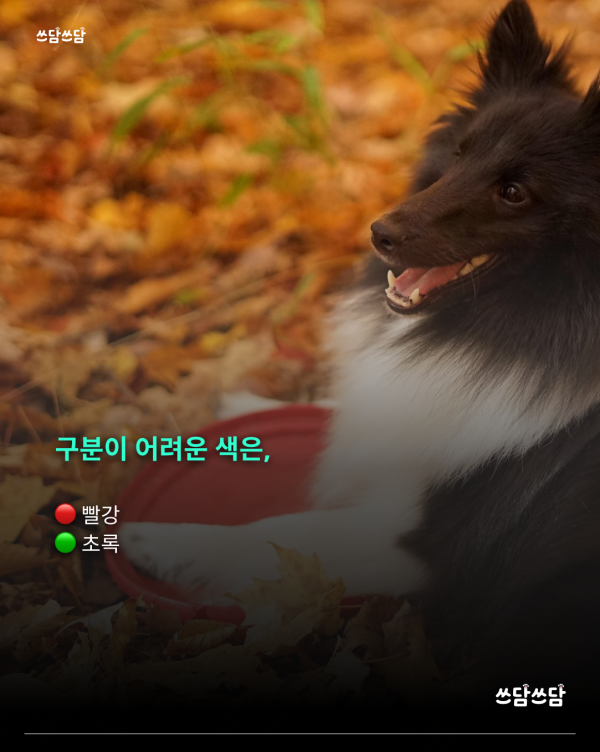 KakaoTalk_20260805_160930533_03.png