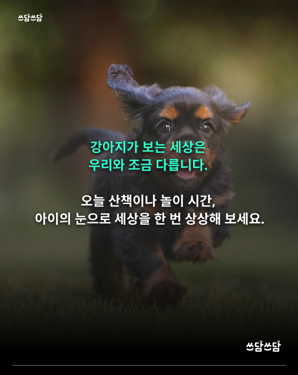 KakaoTalk_20260805_160930533_06.png