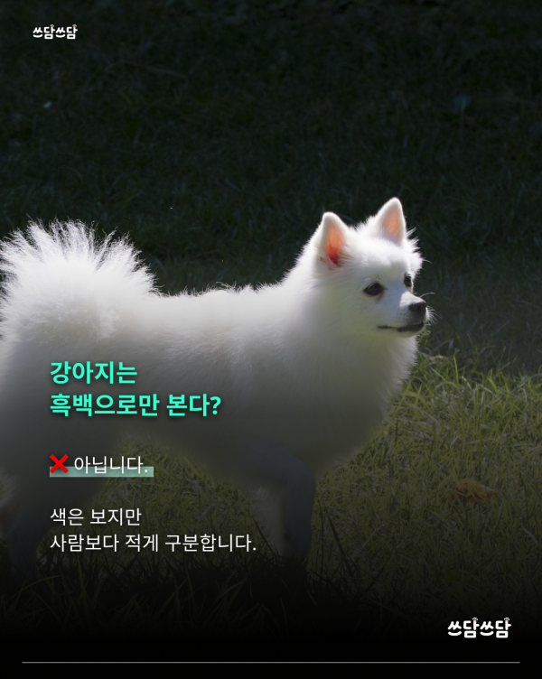 KakaoTalk_20260805_160930533_01.png