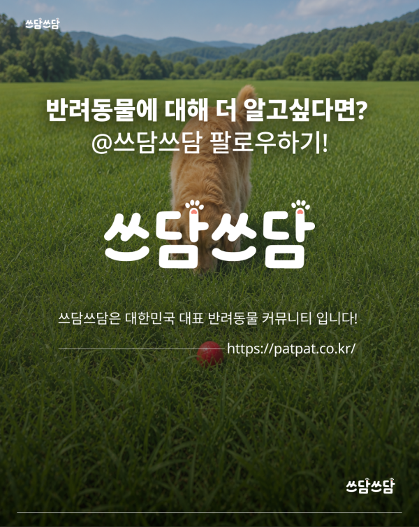 KakaoTalk_20260805_160930533_07.png