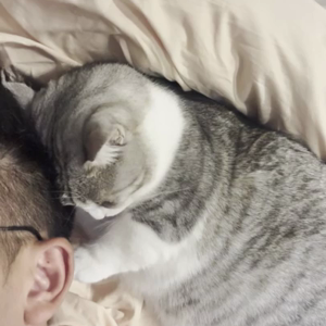 MVPET 당선 이미지