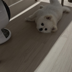 MVPET 후보 이미지