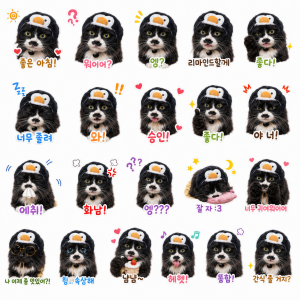 thumb-06f3b470cb94c71e5041e37b1913ebd0_ta4E3oKl_641f577111423a21689a48301dc81eaeca3d7ab2_600x600.png